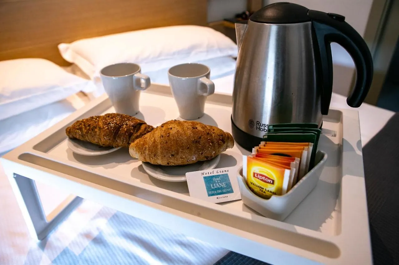 Hotel Liane リッチョーネ
